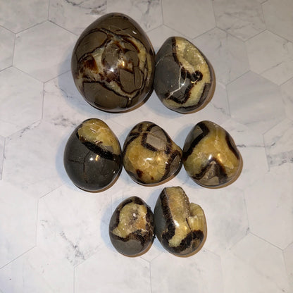 Dragon Septarian Eggs