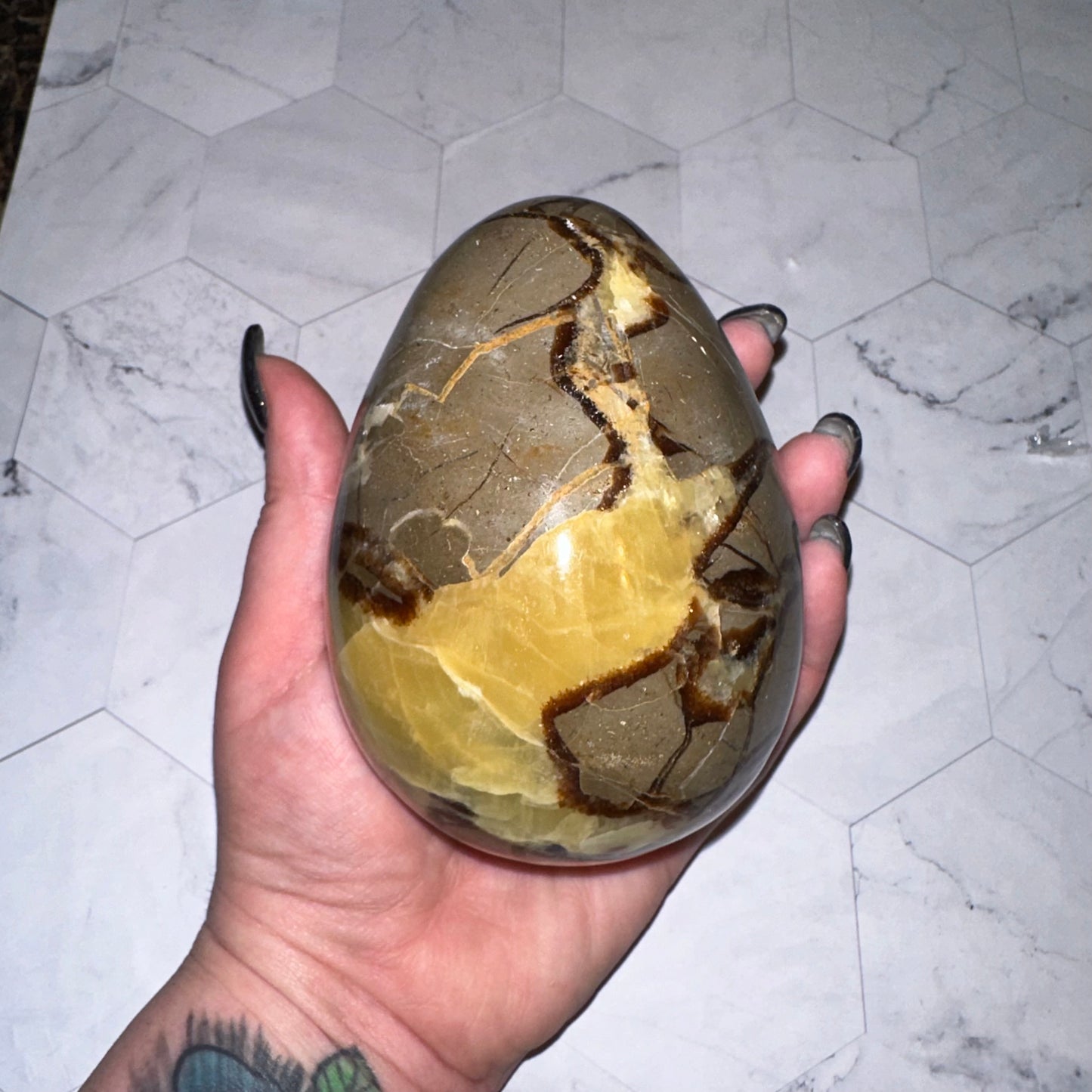 Dragon Septarian Eggs