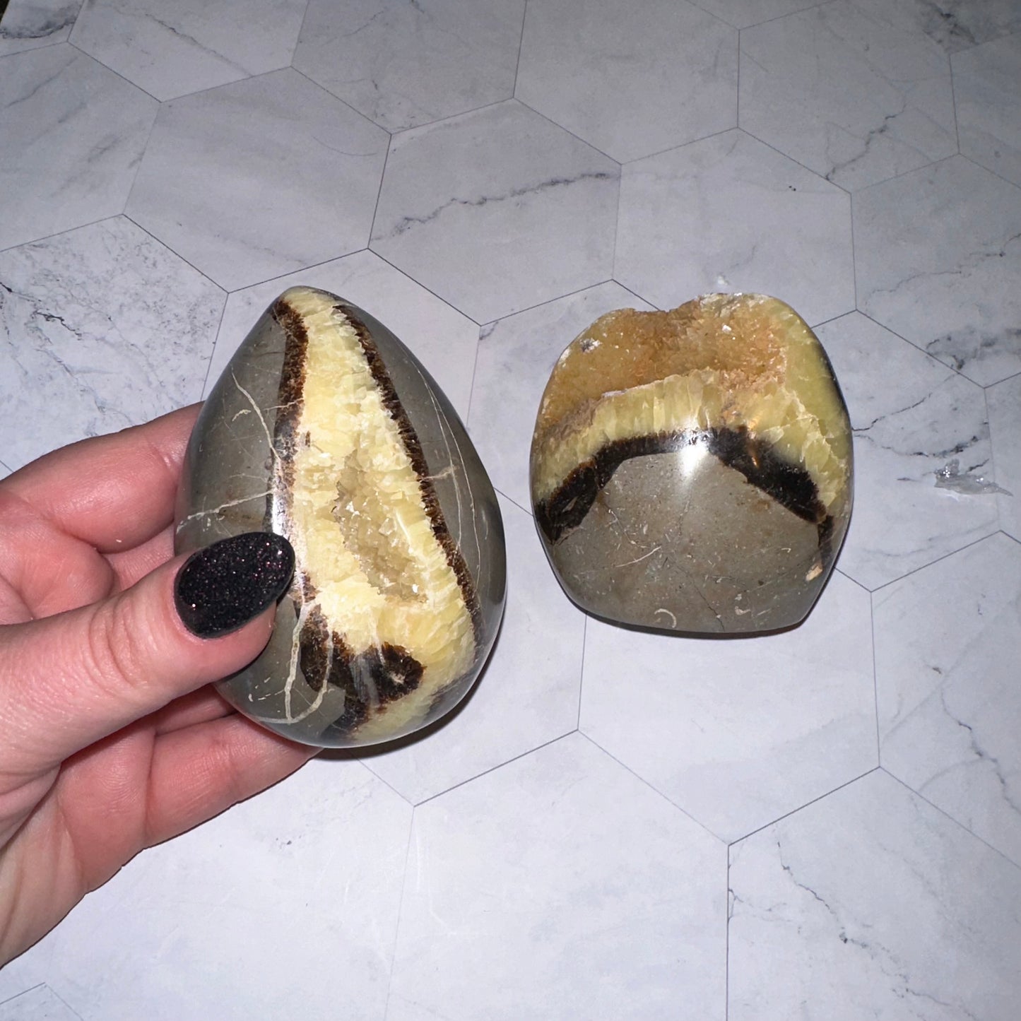 Dragon Septarian Eggs